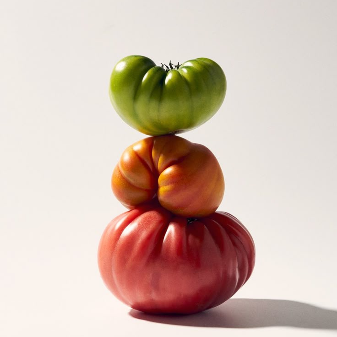Vela Tomato Leaf & Basil Travel